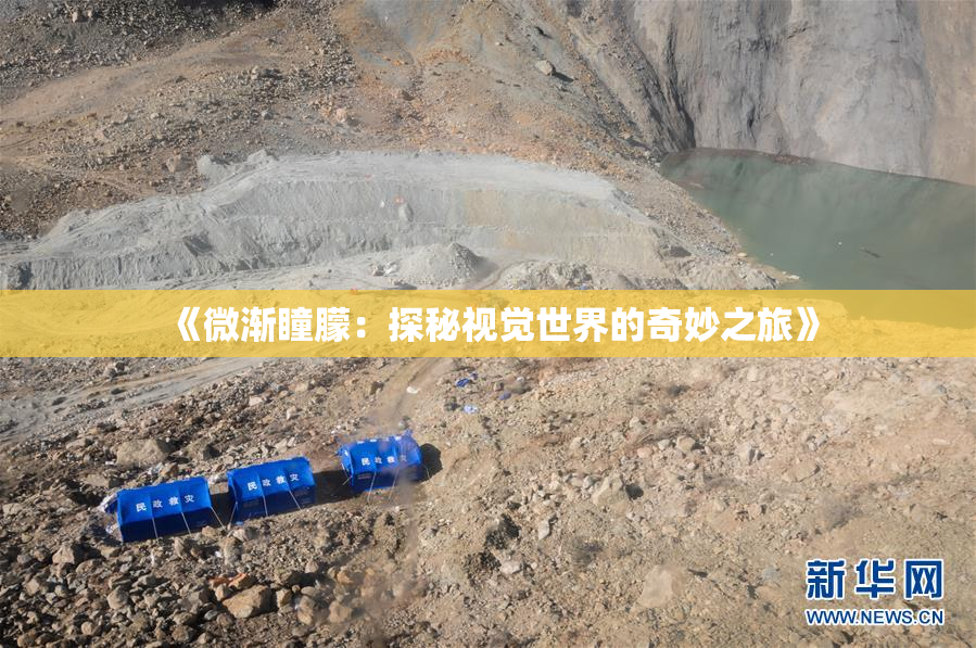 《微渐瞳朦：探秘视觉世界的奇妙之旅》