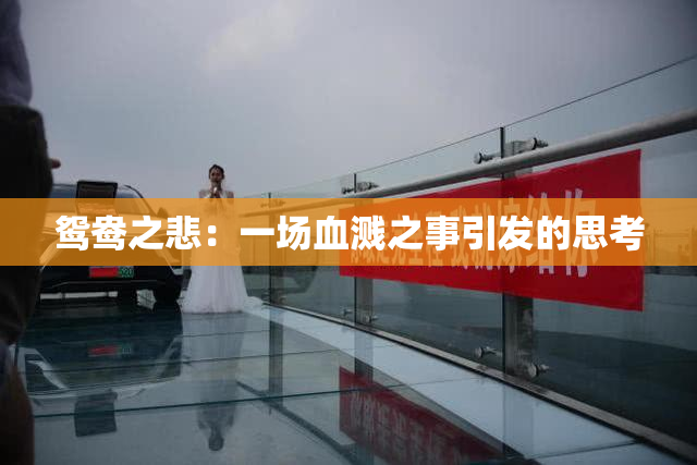 鸳鸯之悲：一场血溅之事引发的思考