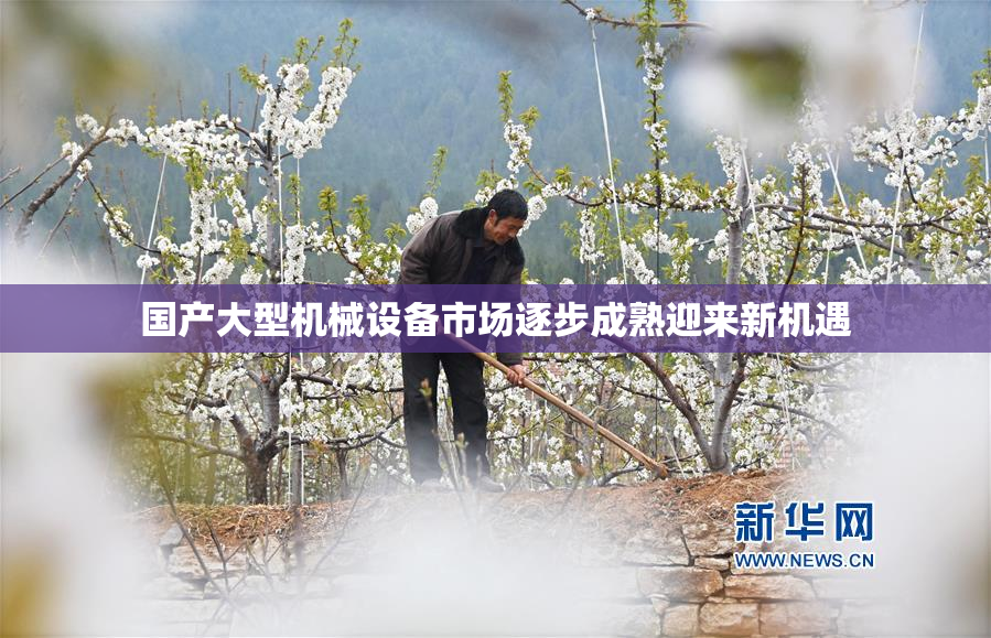 国产大型机械设备市场逐步成熟迎来新机遇