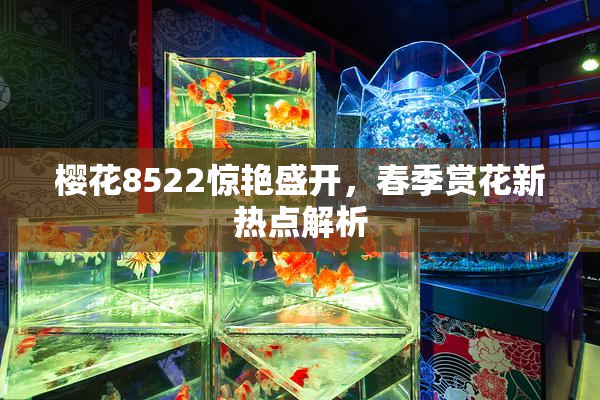 樱花8522惊艳盛开，春季赏花新热点解析