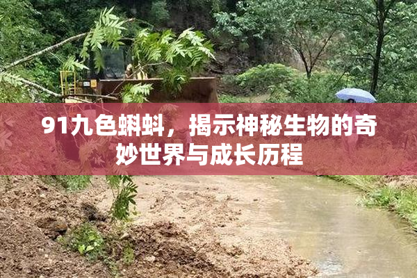 91九色蝌蚪，揭示神秘生物的奇妙世界与成长历程
