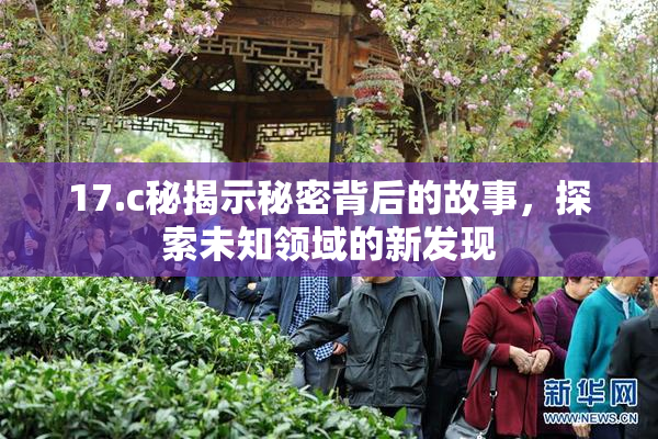 17.c秘揭示秘密背后的故事，探索未知领域的新发现