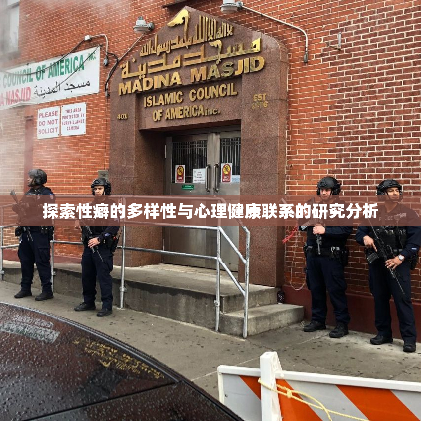 探索性癖的多样性与心理健康联系的研究分析