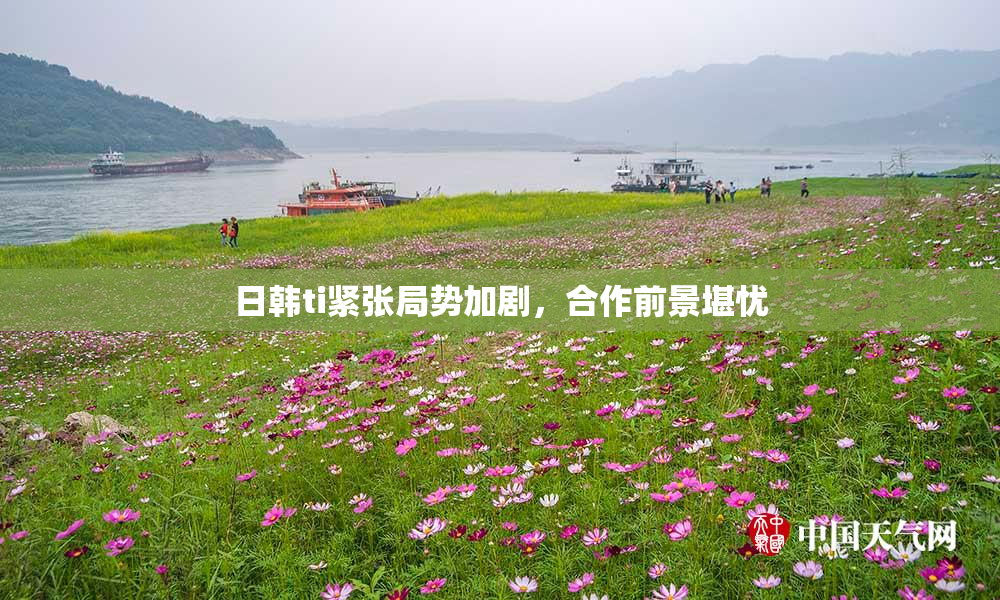 日韩ti紧张局势加剧，合作前景堪忧