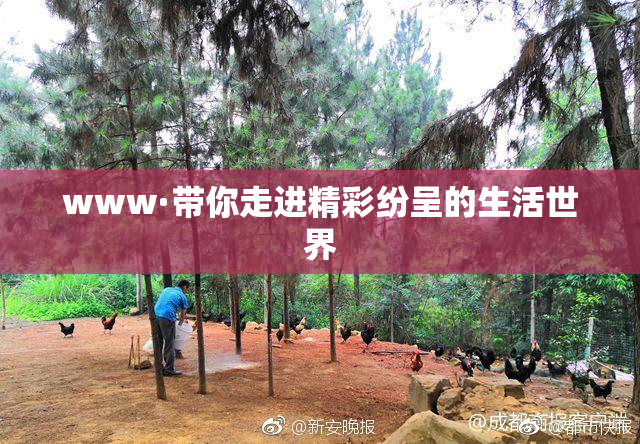 www·带你走进精彩纷呈的生活世界