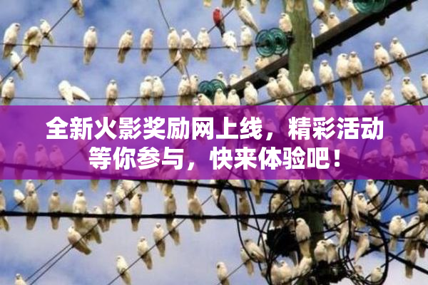 全新火影奖励网上线，精彩活动等你参与，快来体验吧！