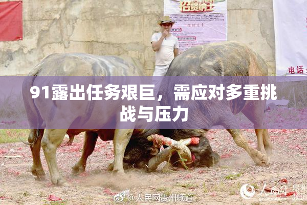 91露出任务艰巨，需应对多重挑战与压力