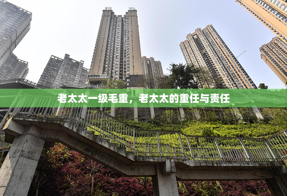 老太太一级毛重，老太太的重任与责任