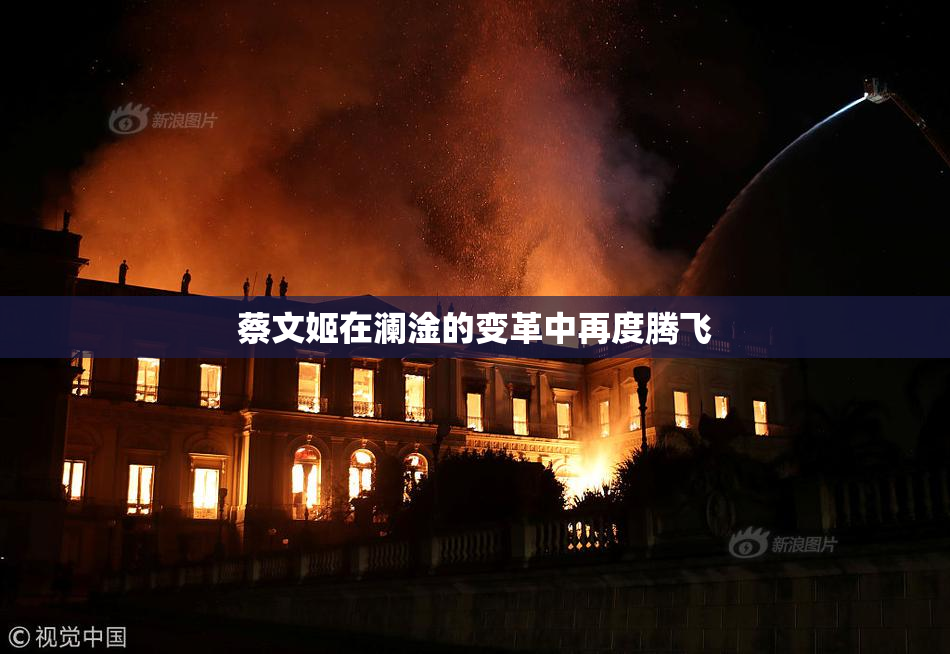 蔡文姬在澜淦的变革中再度腾飞