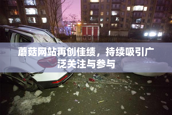 蘑菇网站再创佳绩，持续吸引广泛关注与参与