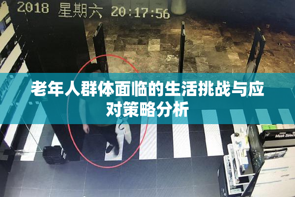 老年人群体面临的生活挑战与应对策略分析