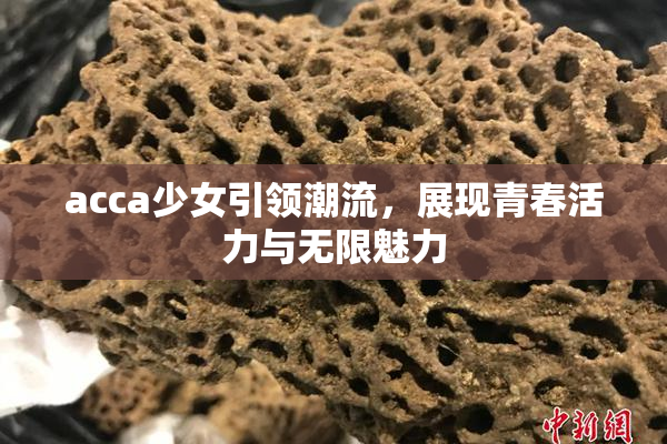 acca少女引领潮流，展现青春活力与无限魅力