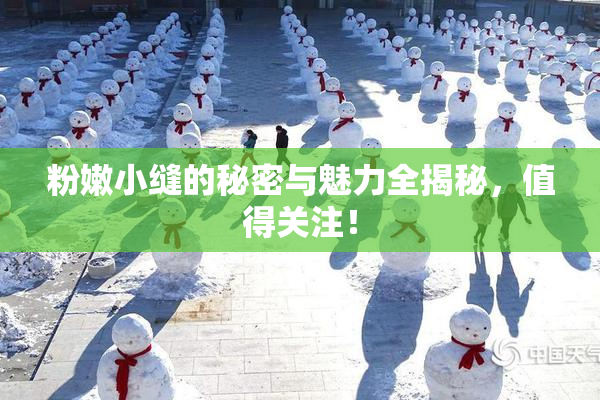粉嫩小缝的秘密与魅力全揭秘，值得关注！