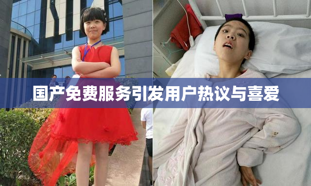 国产免费服务引发用户热议与喜爱