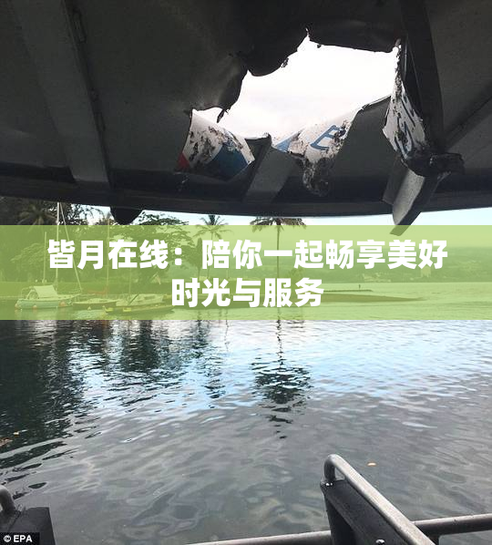 皆月在线：陪你一起畅享美好时光与服务