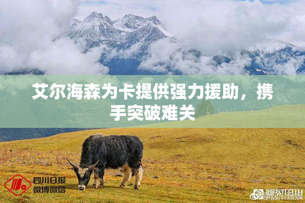 艾尔海森为卡提供强力援助，携手突破难关