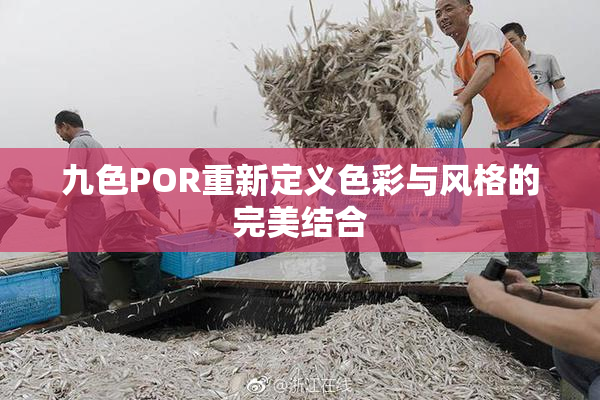 九色POR重新定义色彩与风格的完美结合