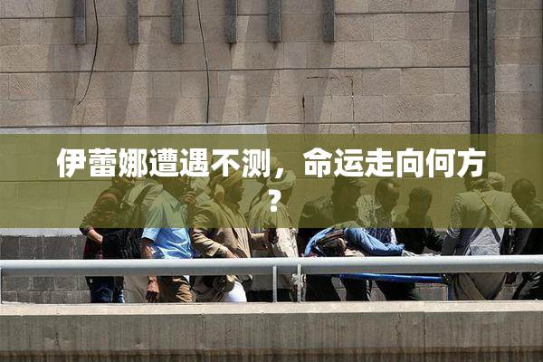 伊蕾娜遭遇不测，命运走向何方？