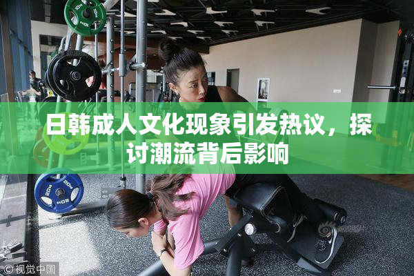 日韩成人文化现象引发热议，探讨潮流背后影响