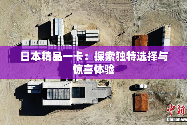 日本精品一卡：探索独特选择与惊喜体验