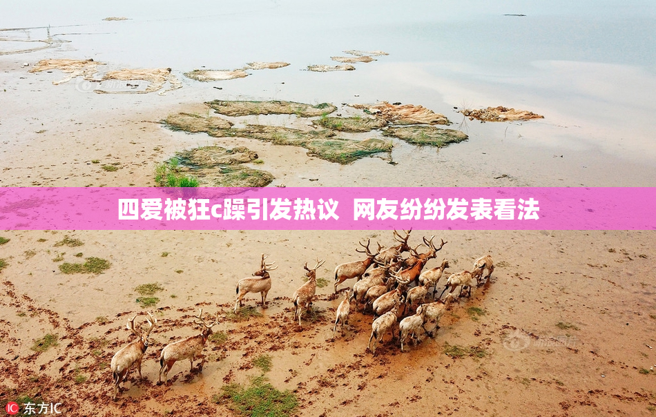 四爱被狂c躁引发热议  网友纷纷发表看法