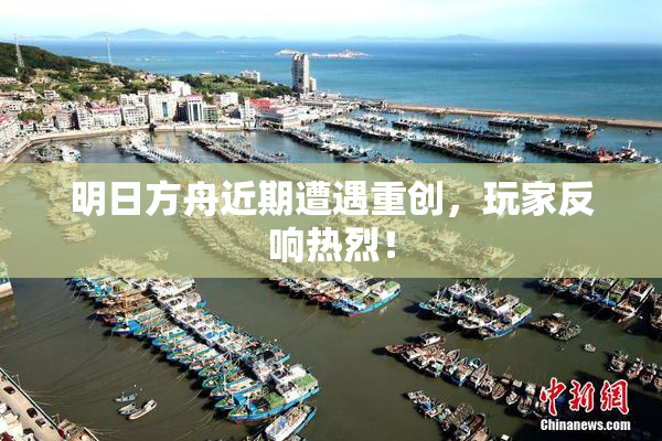 明日方舟近期遭遇重创，玩家反响热烈！