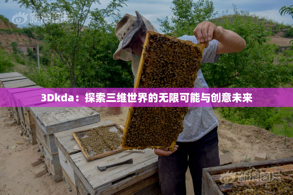 3Dkda：探索三维世界的无限可能与创意未来