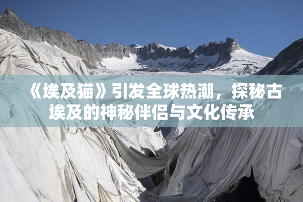 《埃及猫》引发全球热潮，探秘古埃及的神秘伴侣与文化传承