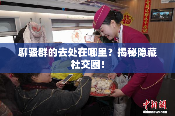 聊骚群的去处在哪里？揭秘隐藏社交圈！