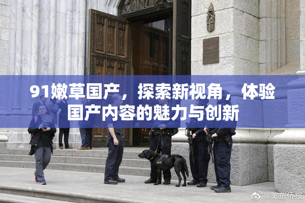 91嫩草国产，探索新视角，体验国产内容的魅力与创新