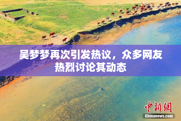 吴梦梦再次引发热议，众多网友热烈讨论其动态