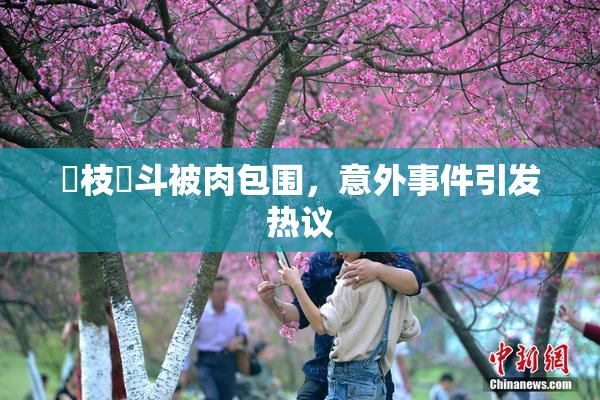 狛枝凪斗被肉包围，意外事件引发热议