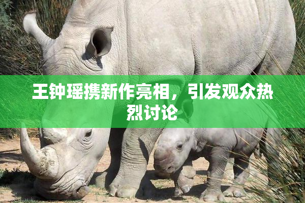 王钟瑶携新作亮相，引发观众热烈讨论