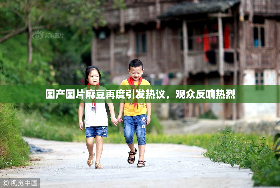 国产国片麻豆再度引发热议，观众反响热烈