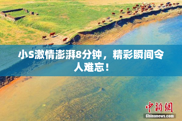 小S激情澎湃8分钟，精彩瞬间令人难忘！
