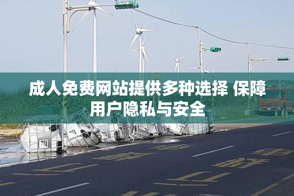 成人免费网站提供多种选择 保障用户隐私与安全