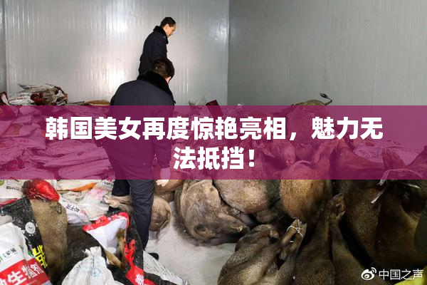 韩国美女再度惊艳亮相，魅力无法抵挡！