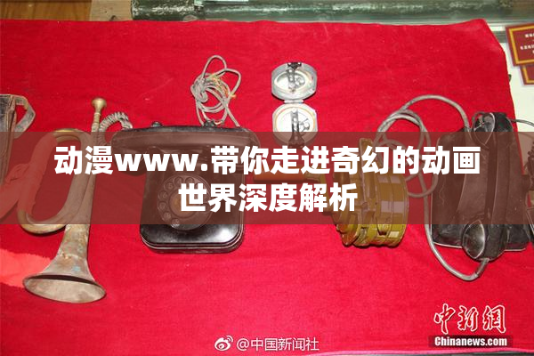 动漫www.带你走进奇幻的动画世界深度解析