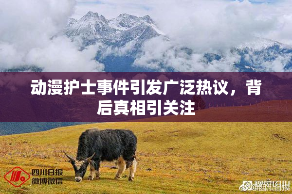动漫护士事件引发广泛热议，背后真相引关注