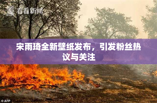 宋雨琦全新壁纸发布，引发粉丝热议与关注