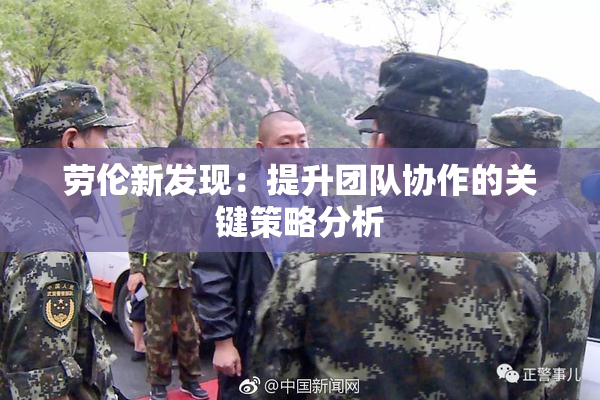 劳伦新发现：提升团队协作的关键策略分析