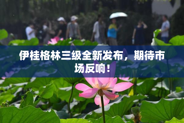 伊桂格林三级全新发布，期待市场反响！