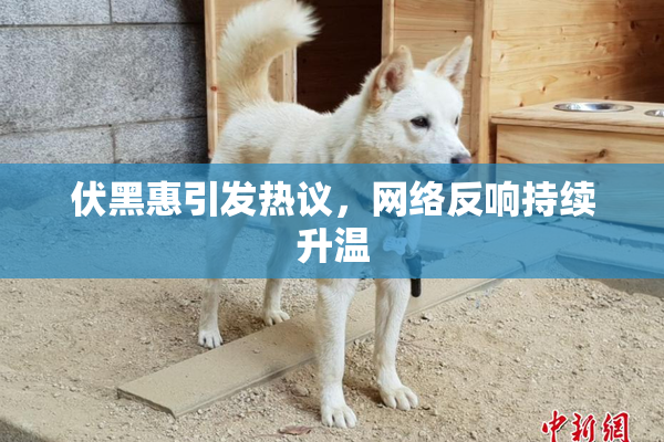 伏黑惠引发热议，网络反响持续升温