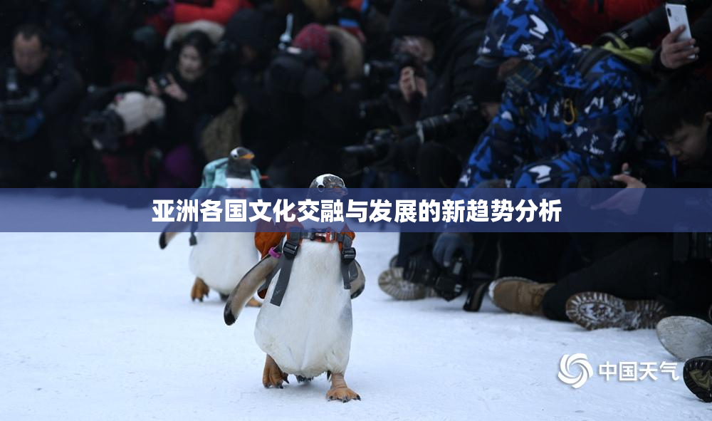 亚洲各国文化交融与发展的新趋势分析