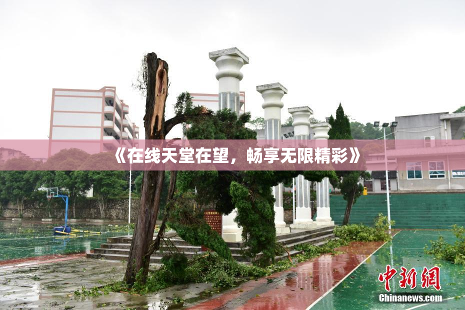 《在线天堂在望，畅享无限精彩》
