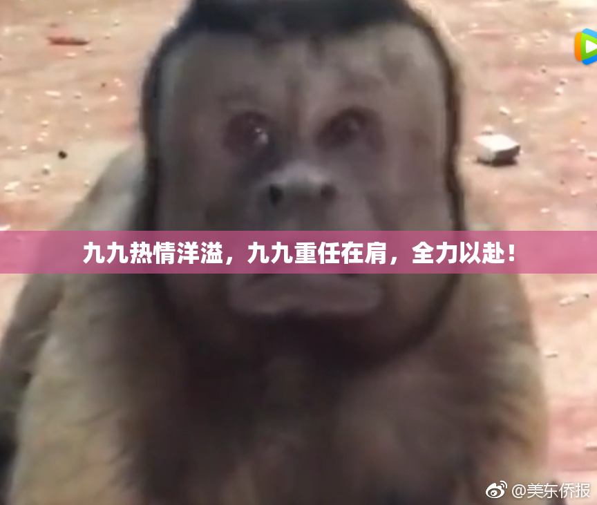九九热情洋溢，九九重任在肩，全力以赴！