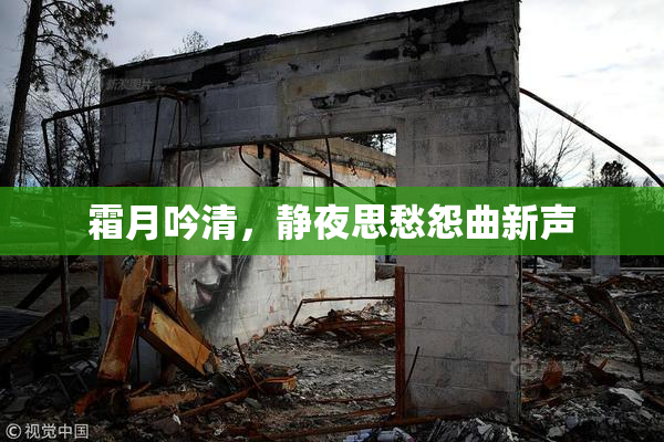 霜月吟清，静夜思愁怨曲新声