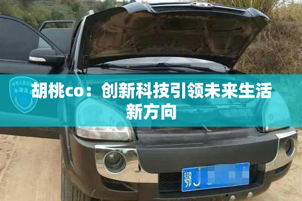 胡桃co：创新科技引领未来生活新方向