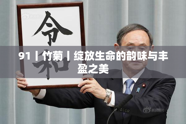91丨竹菊丨绽放生命的韵味与丰盈之美