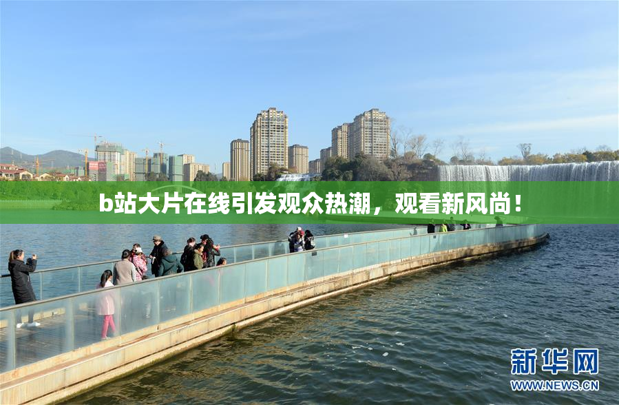 b站大片在线引发观众热潮，观看新风尚！